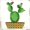 Boho Cacti I Poster Print by Tava Studios - Item # VARPDX40211