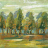 Forest I Poster Print by Silvia Vassileva - Item # VARPDX42188