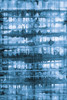 Kanari I Indigo Poster Print by Melissa Averinos - Item # VARPDX43113