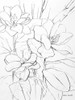 Floral Sketch I Poster Print by Lanie Loreth - Item # VARPDX10845