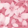 Blooming Pink Whispers II Poster Print by Lanie Loreth - Item # VARPDX12935Q