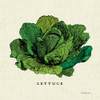 Linen Vegetable II v2 Poster Print by Studio Mousseau - Item # VARPDX39374