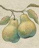 Lovely Fruits I Neutral Plain Poster Print by Daphne Brissonnet - Item # VARPDX13068