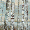 Winter Birch I Poster Print by Maya Woods - Item # VARPDXMW040A