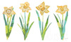 Spring Has Sprung VII Poster Print by Courtney Prahl - Item # VARPDX43721