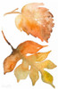 Rustic Autumn Leaves II Poster Print by Lanie Loreth - Item # VARPDX12194