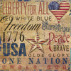 America Typography I Poster Print by Elizabeth Medley - Item # VARPDX10781F