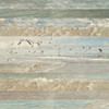Flying Beach Birds I Poster Print by Dan Meneely - Item # VARPDX12070B