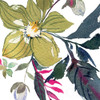 Hellebore Ya Doing I Poster Print by Kristy Rice - Item # VARPDX44116