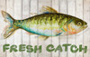 Watercolor Fish on Wood II Poster Print by Patricia Pinto - Item # VARPDX11411C
