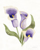 Easter Blessing Flower III Poster Print by Kathleen Parr McKenna - Item # VARPDX46944