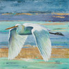 Great Egret II Poster Print by Patricia Pinto - Item # VARPDX11049A