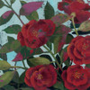 Abundant Roses I Poster Print by Kathrine Lovell - Item # VARPDX10893