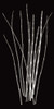 Three Rushes Poster Print by Jim Wehtje - Item # VARPDX12291C