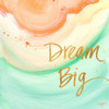 Dream Big Poster Print by Nola James - Item # VARPDX11571HH