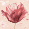 Flower in Pink Poster Print by Patricia Pinto - Item # VARPDX11010A