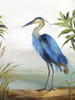 Blue Heron Poster Print by Aimee Wilson - Item # VARPDXWL203A