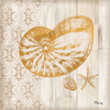 Saint Tropez Shells III Poster Print by Paul Brent