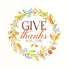 Give Thanks Poster Print by Stephanie Marrott - Item # VARPDXSM1601049