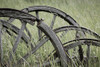 Old Wagon Wheels I Poster Print by Kathy Mahan - Item # VARPDXPSMHN740