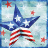 Freedom Star I Poster Print by Paul Brent - Item # VARPDXBNT1351