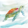 Turtle Tropics I Poster Print by Carol Robinson - Item # VARPDX19759