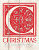 Christmas Poster Print by Stephanie Marrott - Item # VARPDXSM1707031