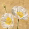 Poppies on Gold I Poster Print by Villa Luca - Item # VARPDX1LC4506