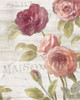 French Roses III Poster Print by Danhui Nai - Item # VARPDX46486
