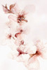 Watercolor Blossoms II Poster Print by PI Studio - Item # VARPDXPX352A