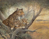 Shadow of Love Poster Print by Ruane Manning - Item # VARPDX10741