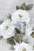 Graceful I Poster Print by Eva Watts - Item # VARPDXEW207A