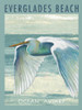 Everglades Poster II Poster Print by Patricia Pinto - Item # VARPDX11049B