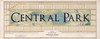 Central Park Poster Print by Tina Carlson - Item # VARPDXTCPL010A