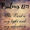 My Light And My Salvation Poster Print by Sheldon Lewis - Item # VARPDXSLBSQ273A