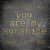 My Sunshine Poster Print by Victoria Brown - Item # VARPDXVBSQ049B
