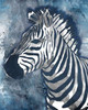 Grey Blue Zebra Poster Print by OnRei - Item # VARPDXONRC097C