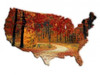 Fall Time USA Poster Print by Sheldon Lewis - Item # VARPDXSLBRC312A