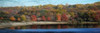 Painted Fall Poster Print by Sheldon Lewis - Item # VARPDXSLBPL058A