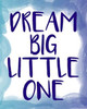 Dream Big 1 Poster Print by Kimberly Allen - Item # VARPDXKARC168A
