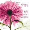 Pink Chrysanthemum Dream Poster Print by Albert Koetsier - Item # VARPDXAK5SQ368C3