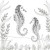 Seahorse Pair Poster Print by Pam Varacek - Item # VARPDXPV5SQ007B