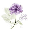 Smile Always Purple Poster Print by Albert Koetsier - Item # VARPDXAK5SQ028B