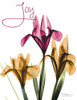 Joyful Iris Poster Print by Albert Koetsier - Item # VARPDXAK8RC577J