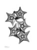 Starfish Poster Print by Albert Koetsier