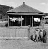 Wpa: Children, 1939. /Nchildren Of A Ex-Farmer That Is Working For The Work Projects Administration, Standing In Front Of Their Home In An Abandoned Mill Village, Thurston County, Washington State. Photograph By Dorothea Lange In August 1939. Poster