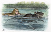 Dodgson: Alice, 1865. /Nalice Swimming In The Pool Of Her Own Tears With The Mouse: After The Design By Sir John Tenniel For The First Edition, 1865, Of Lewis Carroll'S "Alice'S Adventures In Wonderland." Poster Print by Granger Collection - Item # V