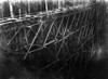 Pile Bridge, C1914. /Nworkers Constructing A Pile Bridge Which Is Estimated To Be The Highest In The World At 119 Feet High, English Loggin Railway, Near Mt. Vernon, Washington State. Photograph, C1914. Poster Print by Granger Collection - Item # VAR