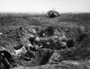 World War I: Ypres, 1917. /Nbritish Troops In A Gun-Pit Trench With A Destroyed Mark Iv Tank In The Background. Photographed During The Battle At Menin Road Ridge, Part Of The Battle Of Ypres, 22 September 1917. Poster Print by Granger Collection - I