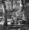 Migrant Worker Camp, 1939. /Nchildren Using The Water Pump In A Large Private Bean Picking Camp, Marion County, Oregon. Pickers Came From Many States Including Oklahoma To North Dakota For Field Work. Photograph By Dorothea Lange, August 1939. Poster